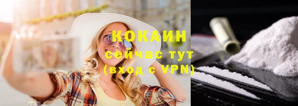 гидропоника Белокуриха