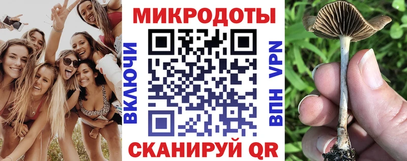 Галлюциногенные грибы Magic Shrooms  ОМГ ОМГ ССЫЛКА  Бугульма 